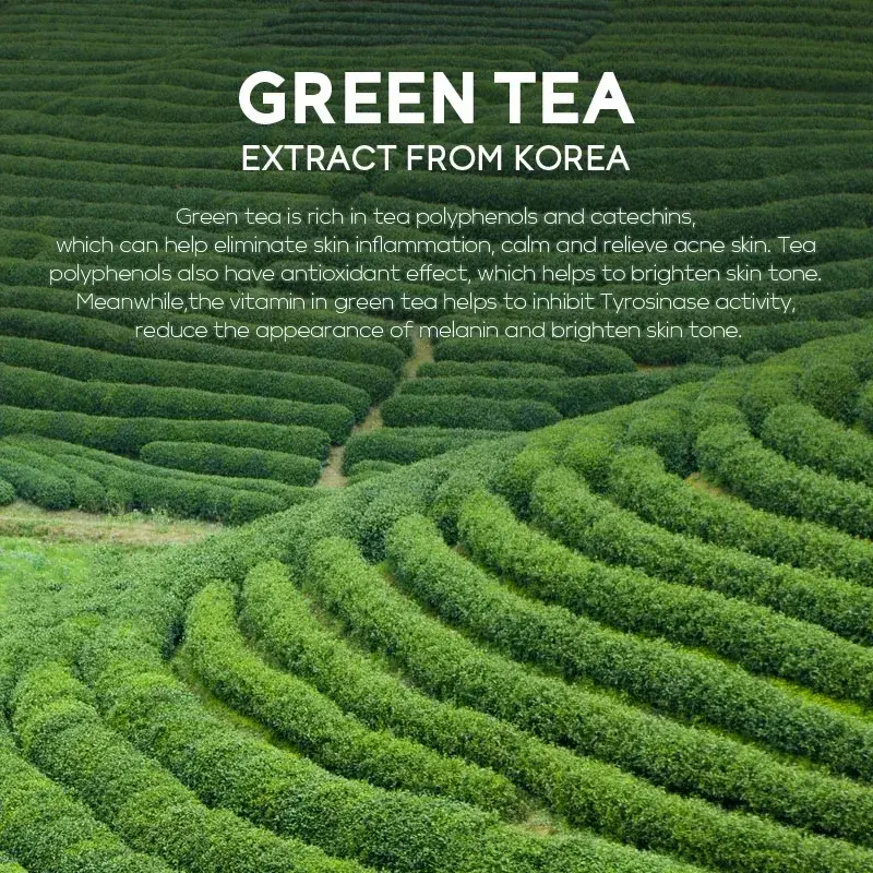 Fenyi Green Tea Mud Mask (100g) — 4